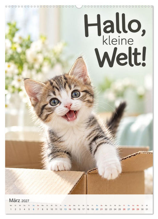 Ein Pfötchen Glück (CALVENDO Premium Wandkalender 2027)