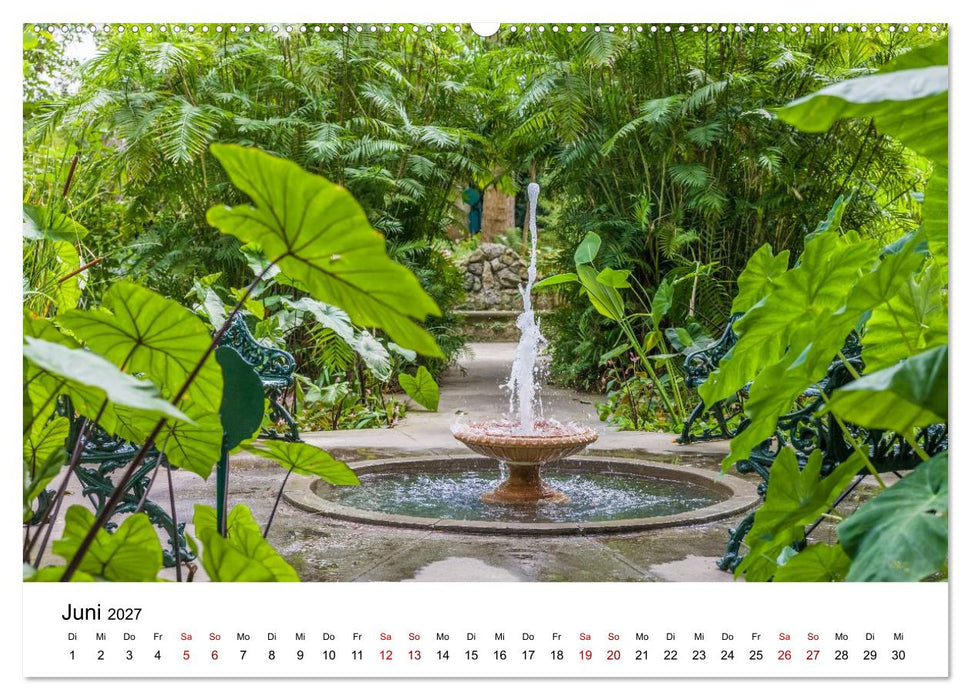 Trauminsel Ischia (CALVENDO Wandkalender 2027)