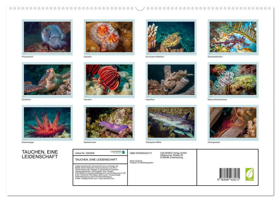 TAUCHEN, EINE LEIDENSCHAFT (CALVENDO Premium Wandkalender 2027)