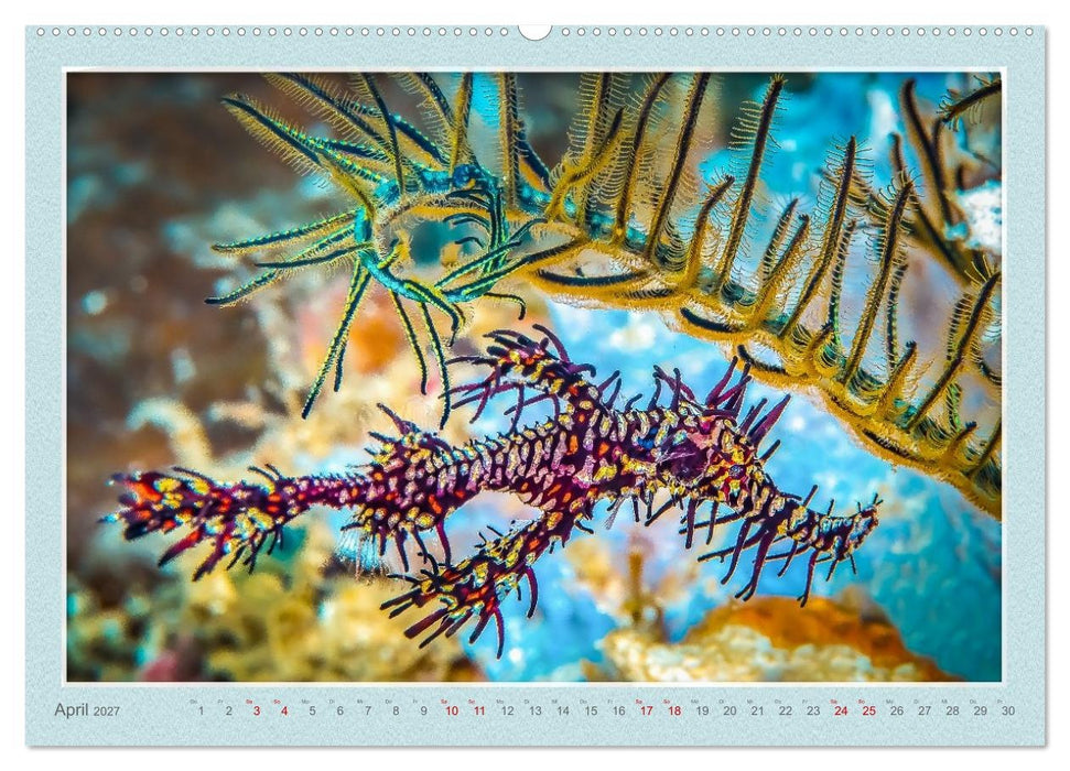 TAUCHEN, EINE LEIDENSCHAFT (CALVENDO Premium Wandkalender 2027)