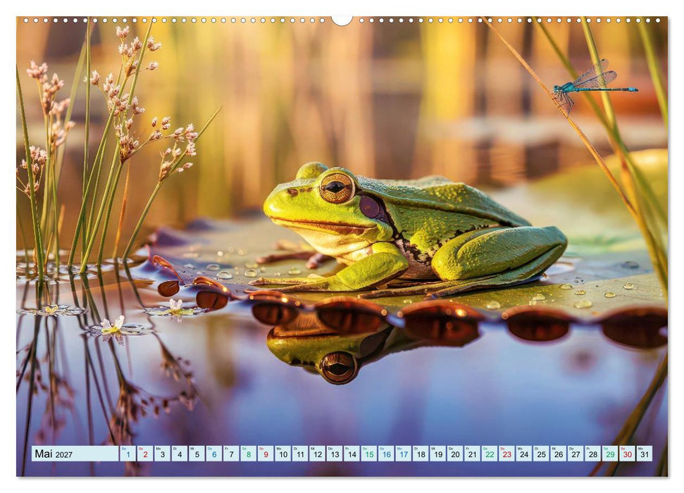 Teich-Impressionen (CALVENDO Premium Wandkalender 2027)