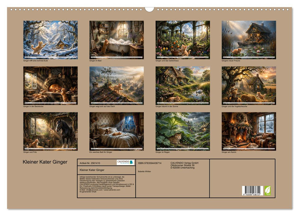 Kleiner Kater Ginger (CALVENDO Wandkalender 2027)