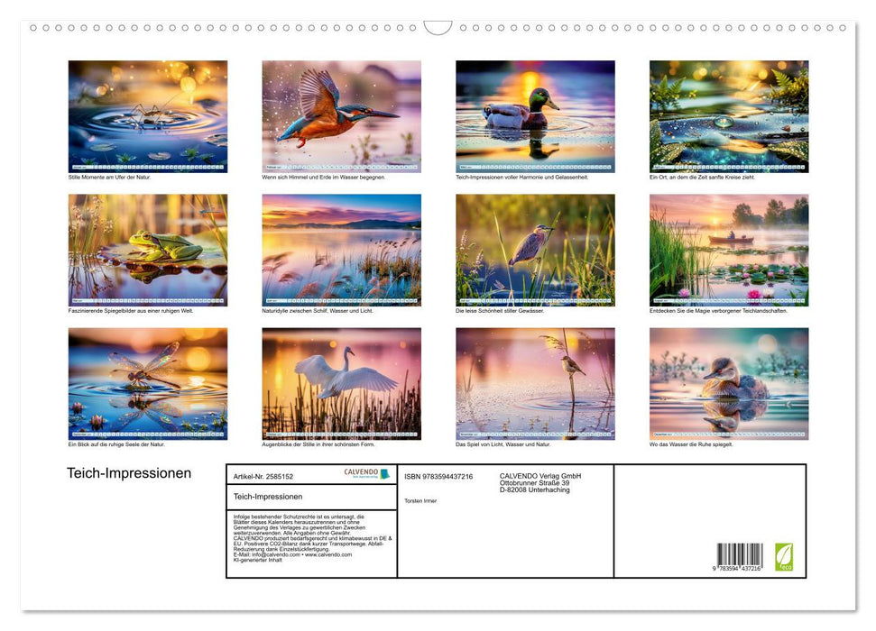 Teich-Impressionen (CALVENDO Wandkalender 2027)