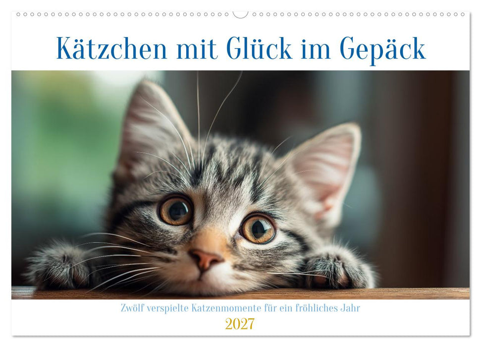Kätzchen mit Glück im Gepäck (CALVENDO Wandkalender 2027)