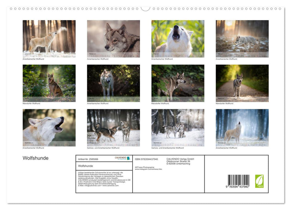 Wolfshunde (CALVENDO Premium Wandkalender 2027)