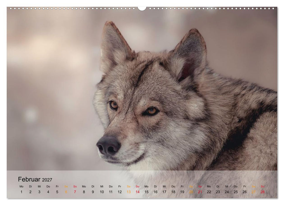 Wolfshunde (CALVENDO Premium Wandkalender 2027)