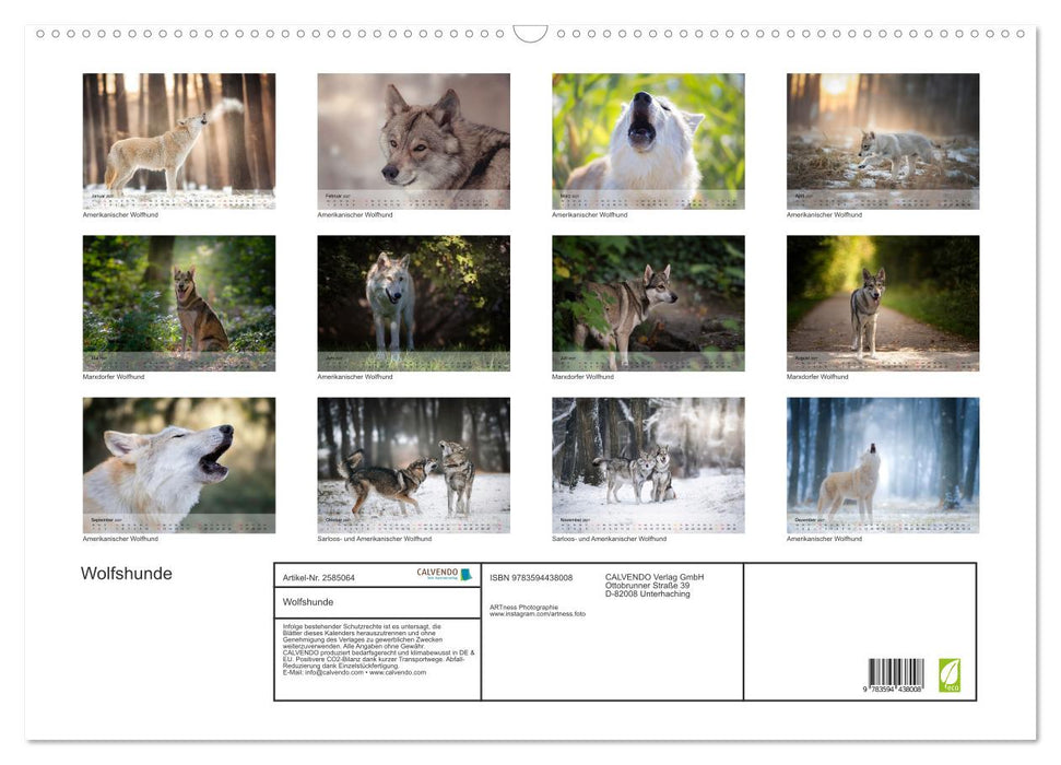 Wolfshunde (CALVENDO Wandkalender 2027)
