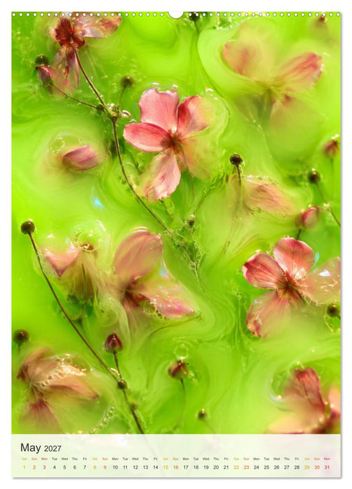 Floating Blooms (CALVENDO Premium-Calendar 2027)