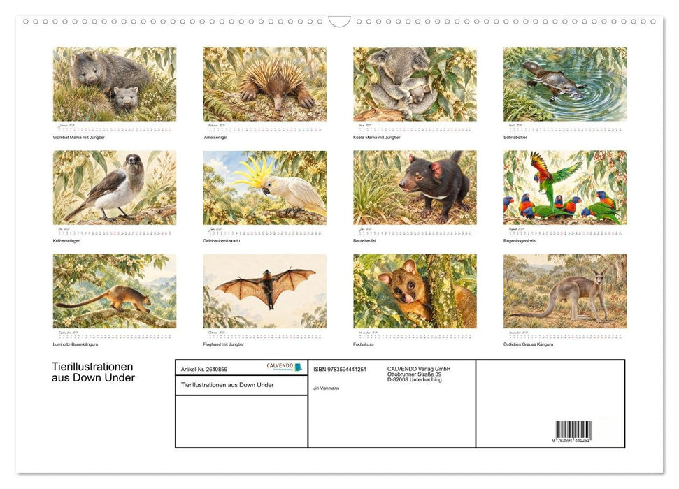 Tierillustrationen aus Down Under (CALVENDO Wandkalender 2027)