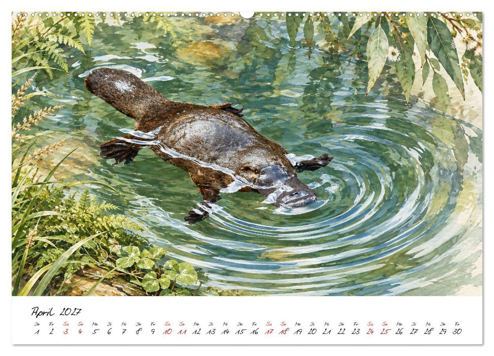 Tierillustrationen aus Down Under (CALVENDO Wandkalender 2027)