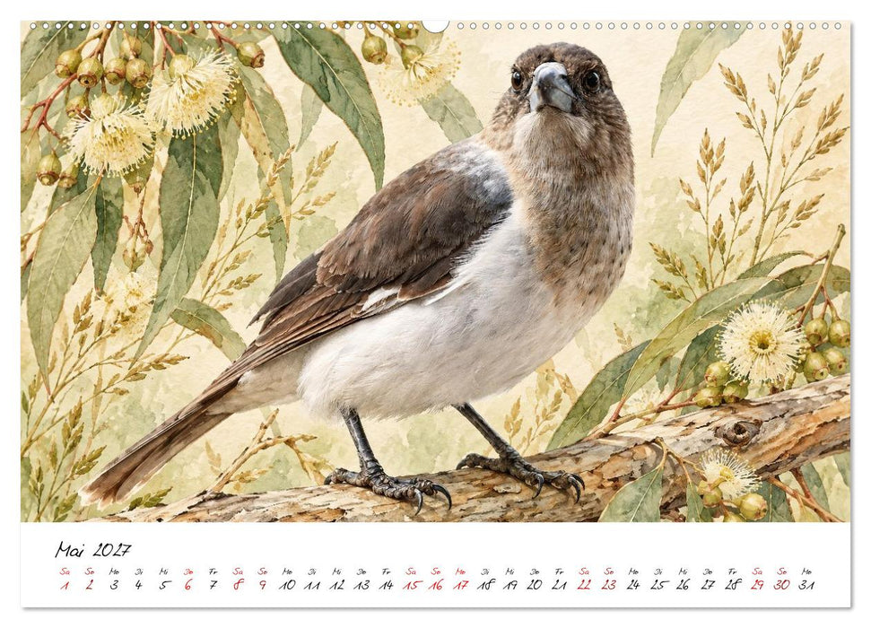 Tierillustrationen aus Down Under (CALVENDO Wandkalender 2027)