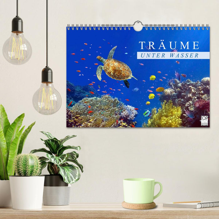 Träume unter Wasser (CALVENDO Wandkalender 2027)