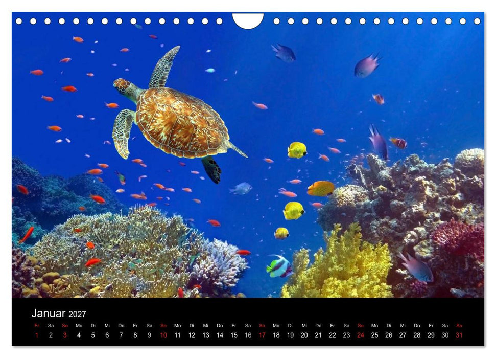 Träume unter Wasser (CALVENDO Wandkalender 2027)