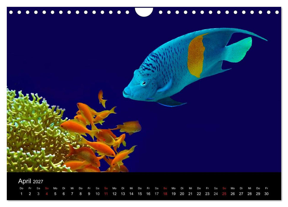 Träume unter Wasser (CALVENDO Wandkalender 2027)
