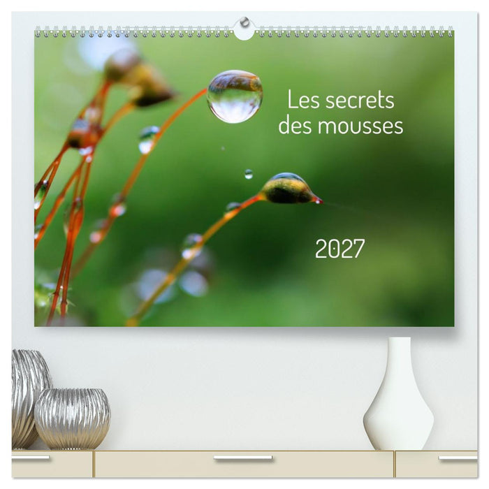 Les secrets des mousses (CALVENDO Calendrier supérieur 2027)