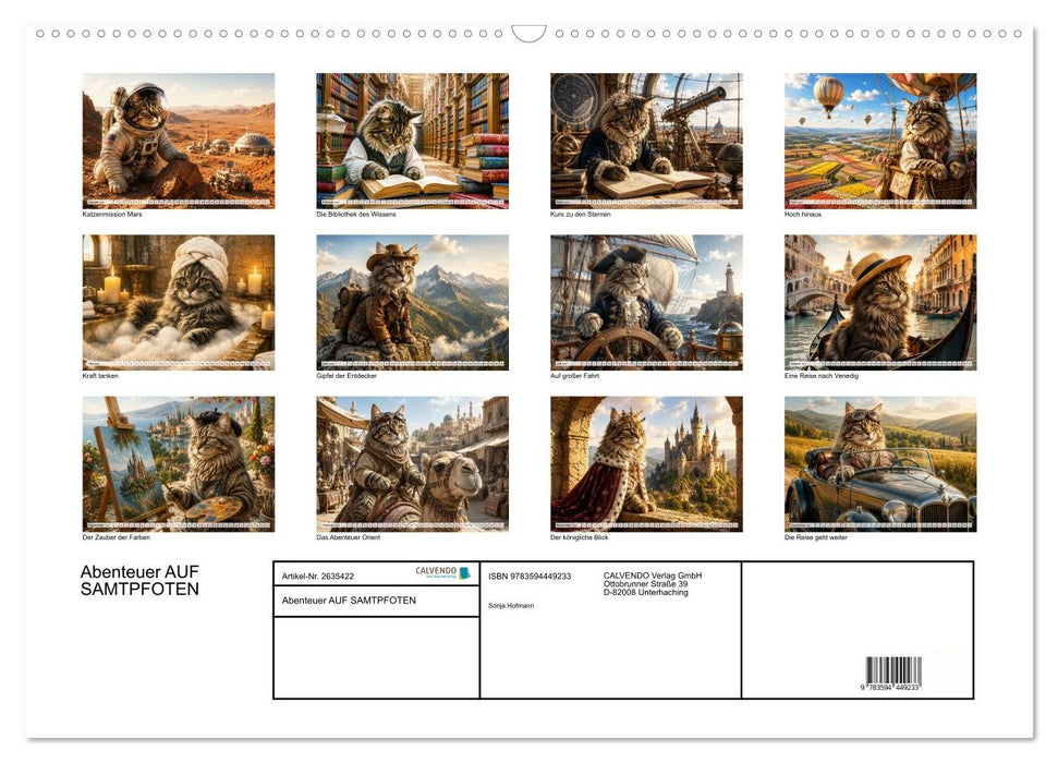 Abenteuer AUF SAMTPFOTEN (CALVENDO Wandkalender 2027)