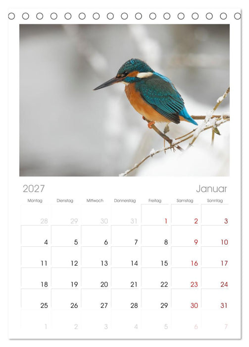Alcedo atthis. Der Eisvogel (CALVENDO Tischplaner A5H 2027)