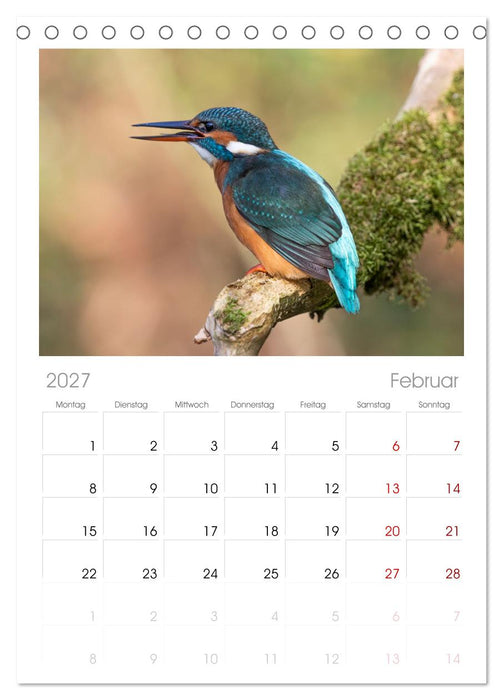 Alcedo atthis. Der Eisvogel (CALVENDO Tischplaner A5H 2027)