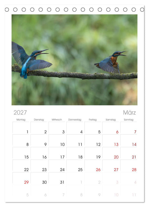 Alcedo atthis. Der Eisvogel (CALVENDO Tischplaner A5H 2027)
