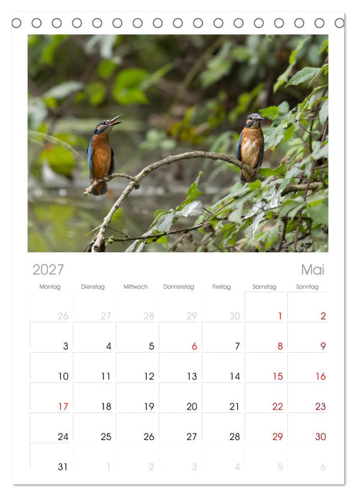 Alcedo atthis. Der Eisvogel (CALVENDO Tischplaner A5H 2027)