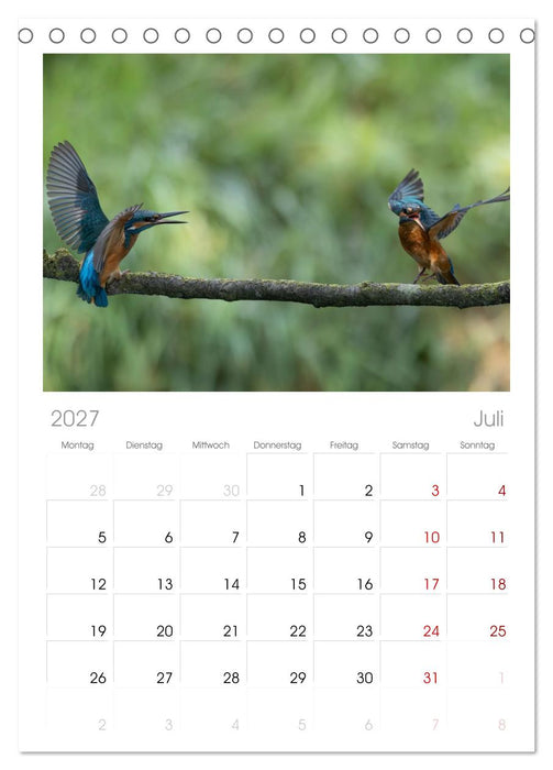 Alcedo atthis. Der Eisvogel (CALVENDO Tischplaner A5H 2027)