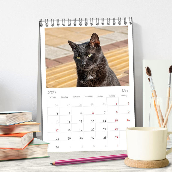 Die Izmir Katzen (CALVENDO Tischplaner A5H 2027)