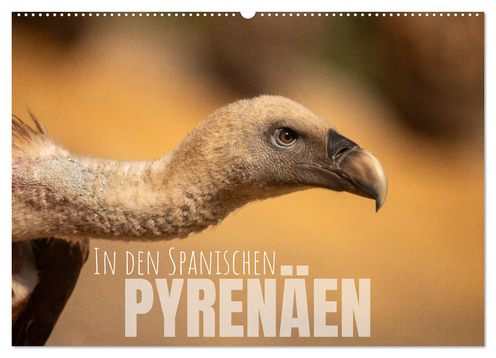 In den Spanischen Pyrenäen (CALVENDO Wandkalender 2027)