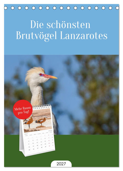 Die schönsten Brutvögel Lanzarotes (CALVENDO Tischplaner A5H 2027)