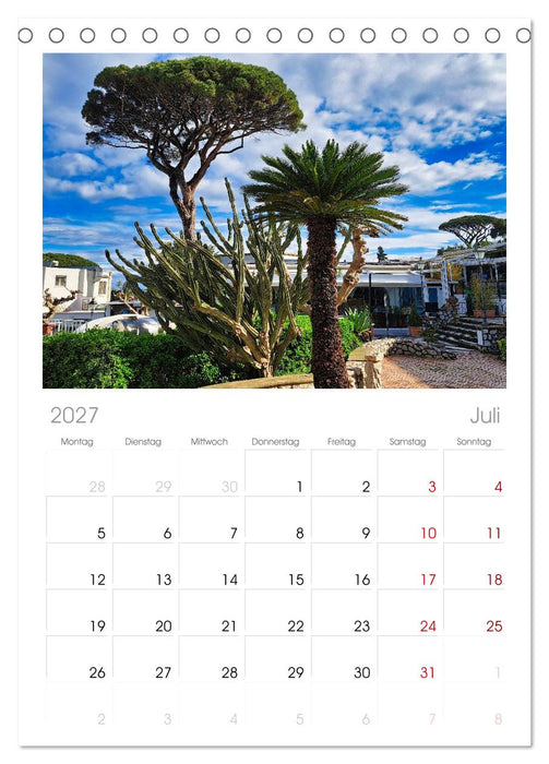 Faszinierendes Capri (CALVENDO Tischplaner A5H 2027)