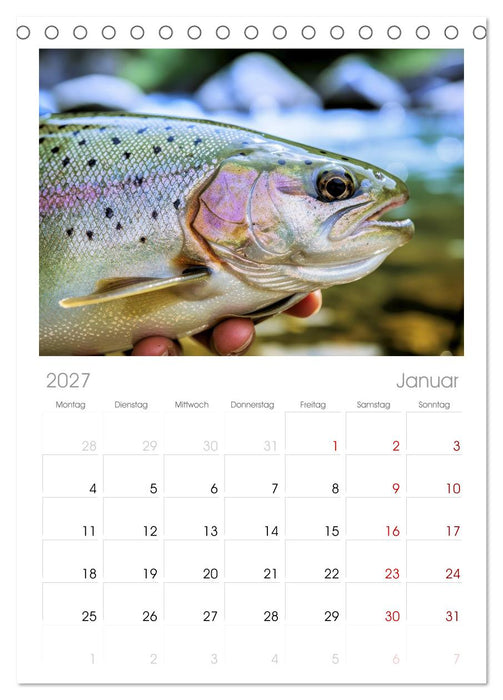 Forellen im Fluss (CALVENDO Tischplaner A5H 2027)
