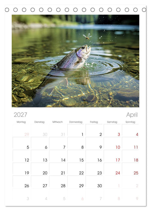 Forellen im Fluss (CALVENDO Tischplaner A5H 2027)