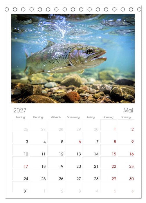 Forellen im Fluss (CALVENDO Tischplaner A5H 2027)