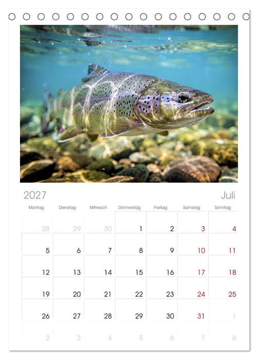 Forellen im Fluss (CALVENDO Tischplaner A5H 2027)