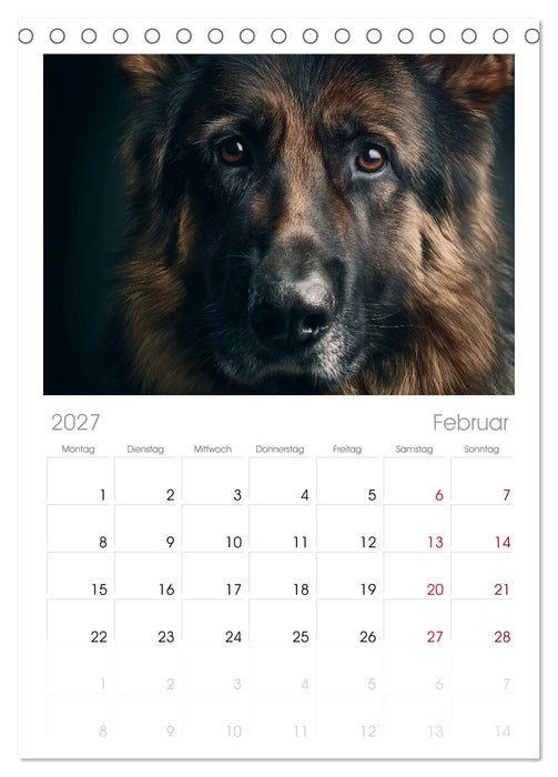 Hundeglück (CALVENDO Tischplaner A5H 2027)