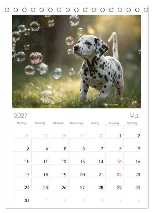 Hundeglück (CALVENDO Tischplaner A5H 2027)