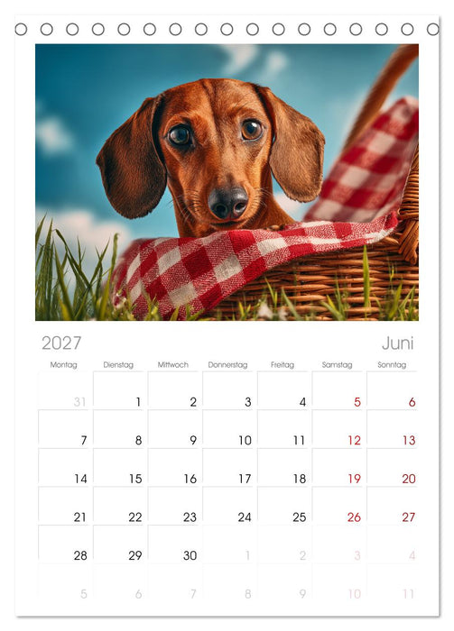 Hundeglück (CALVENDO Tischplaner A5H 2027)