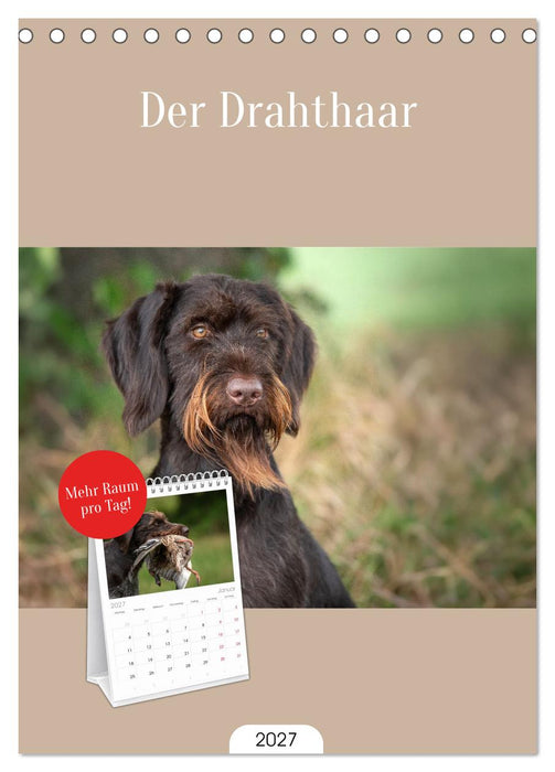 Der Drahthaar (CALVENDO Tischplaner A5H 2027)