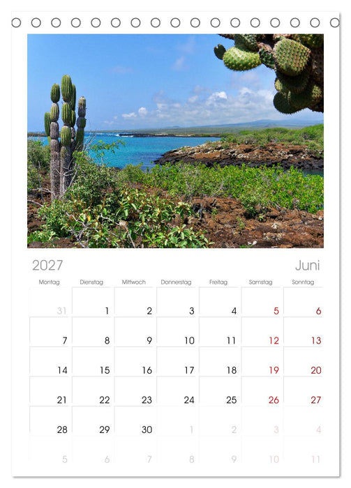 Entdecke Galapagos (CALVENDO Tischplaner A5H 2027)
