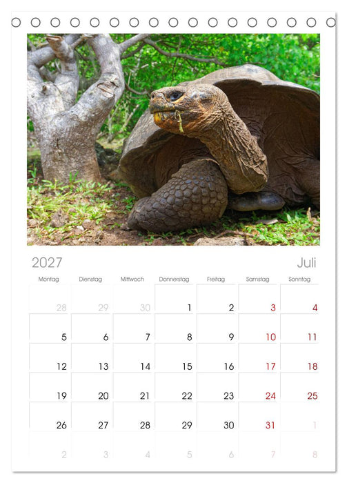 Entdecke Galapagos (CALVENDO Tischplaner A5H 2027)