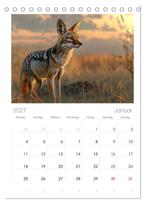 Die wilden Hunde (CALVENDO Tischplaner A5H 2027)