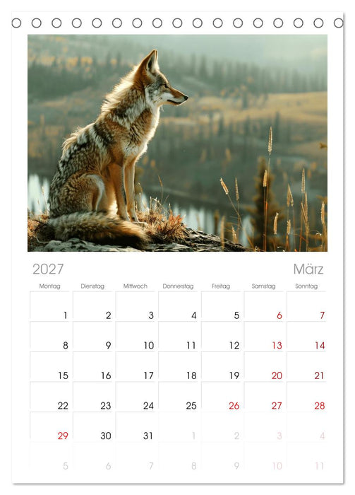 Die wilden Hunde (CALVENDO Tischplaner A5H 2027)