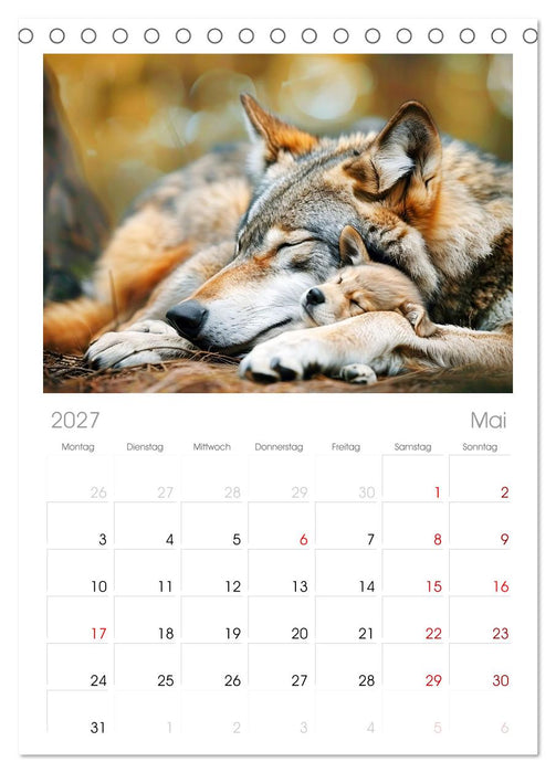 Die wilden Hunde (CALVENDO Tischplaner A5H 2027)