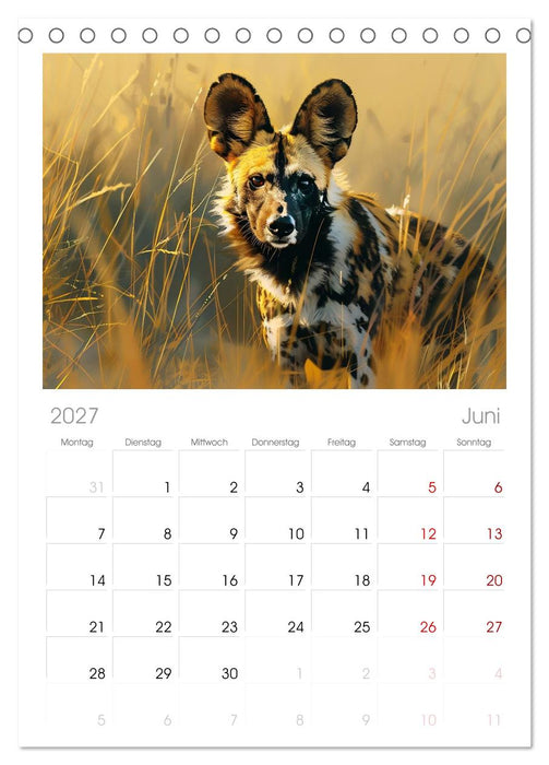 Die wilden Hunde (CALVENDO Tischplaner A5H 2027)