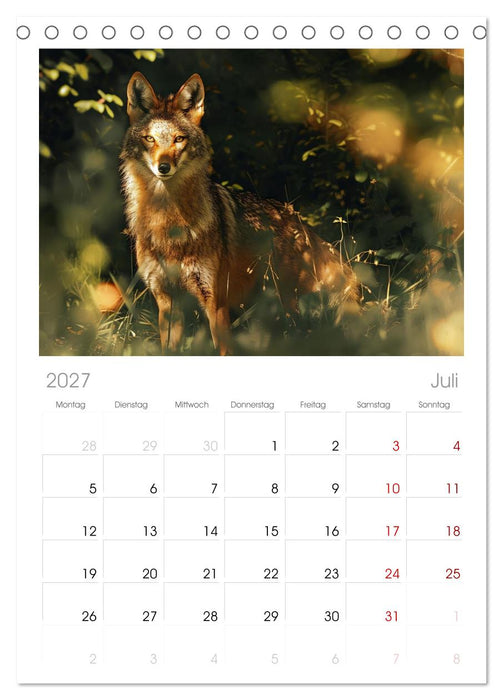 Die wilden Hunde (CALVENDO Tischplaner A5H 2027)