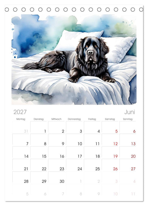 Hundeträume (CALVENDO Tischplaner A5H 2027)