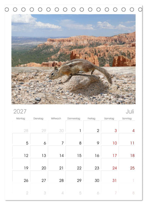 Discover the West (CALVENDO Tischplaner A5H 2027)