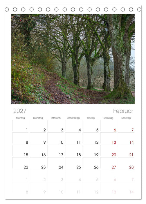 Herbst rund um den Bodensee (CALVENDO Tischplaner A5H 2027)