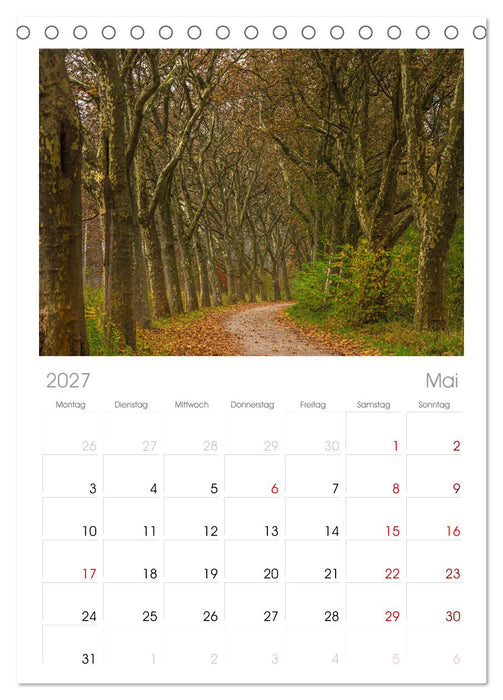 Herbst rund um den Bodensee (CALVENDO Tischplaner A5H 2027)