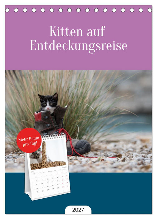 Kitten auf Entdeckungsreise (CALVENDO Tischplaner A5H 2027)