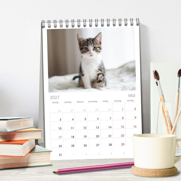 Kitten auf Entdeckungsreise (CALVENDO Tischplaner A5H 2027)